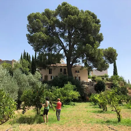 Frühstückspension Cortijo El Pino Retreat Albuñuelas