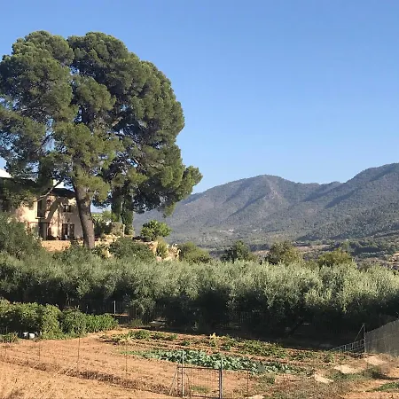 Cortijo El Pino Retreat