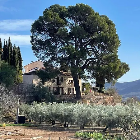 Frühstückspension Cortijo El Pino Retreat